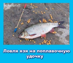 Fish2go