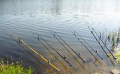  fishing rod